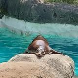 Pittsburgh Zoo & Aquarium