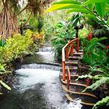 Tabacon Hot Springs