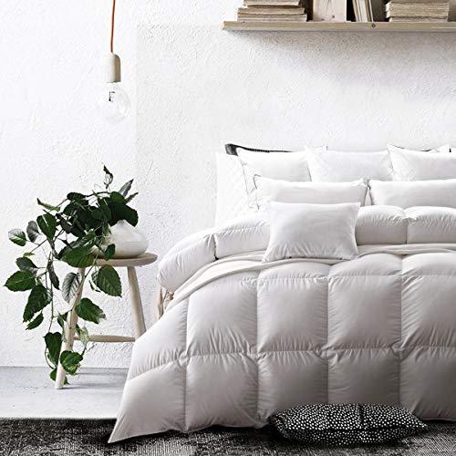 WarmKiss White Goose Down Comforter (Grey/White) Hypoallergenic Duvet Insert with Corner Ties 100% Soft Cotton Cover Down Proof Shell for All Season (Queen)