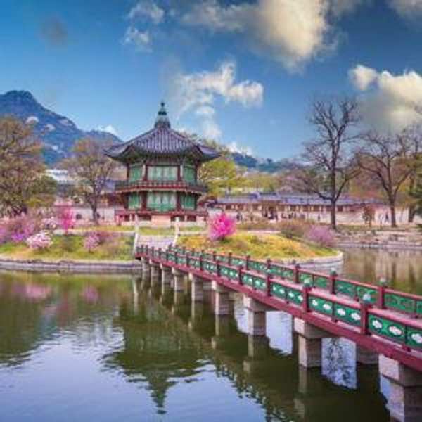 Honeymoon to South Korea