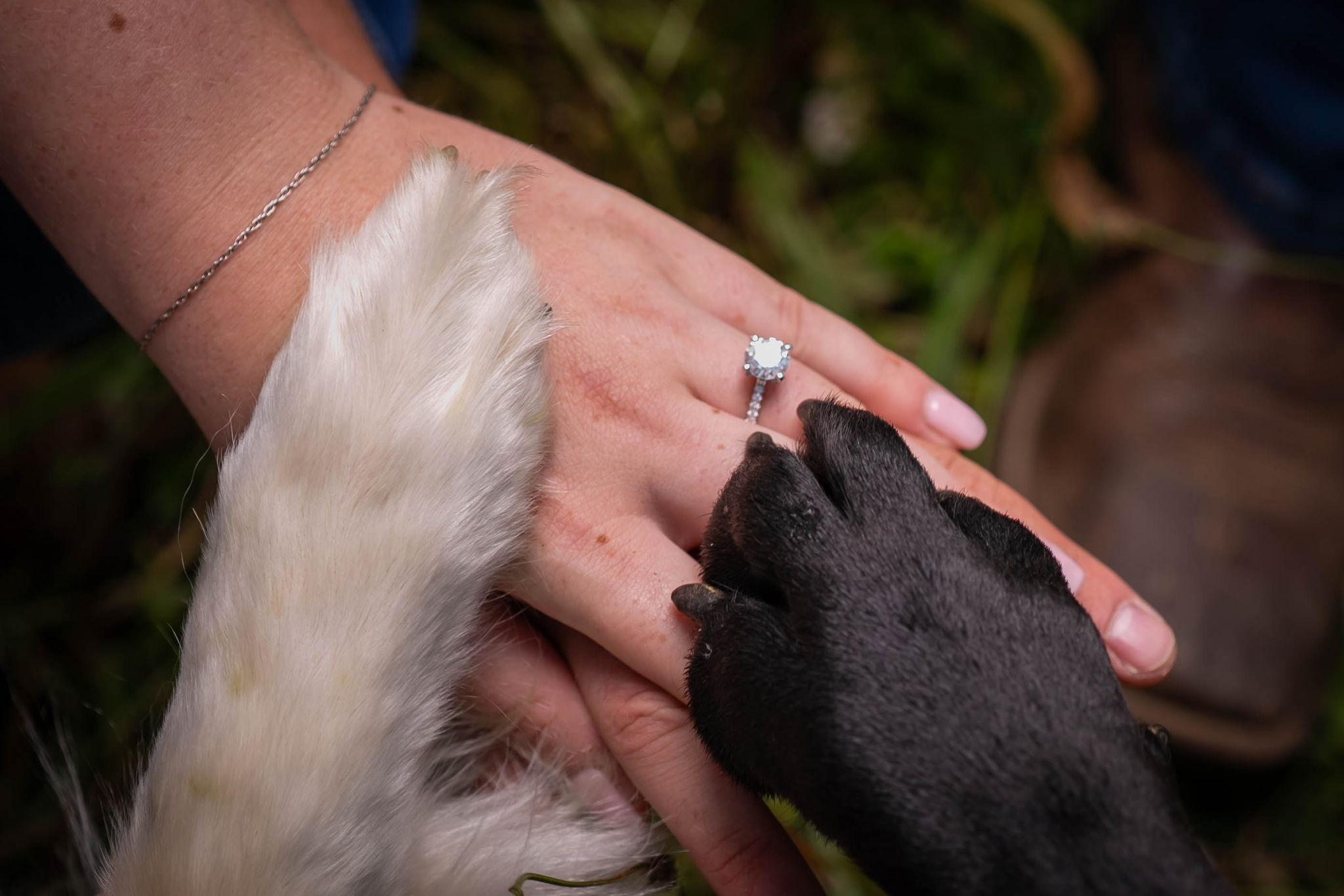 The Wedding Website of Lauren Reeves and Nicholas Cottrell