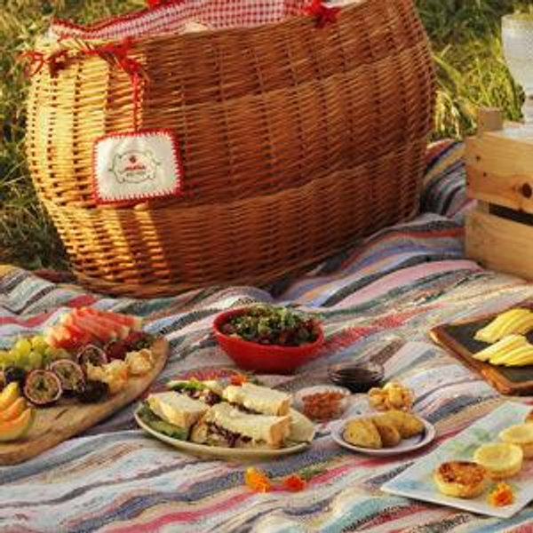 Picnics and Lunches