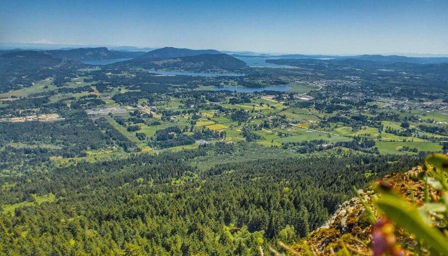 The Wedding Website of Shayal Singh and Michael Mann