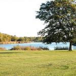 Busse Woods Hiking Trails