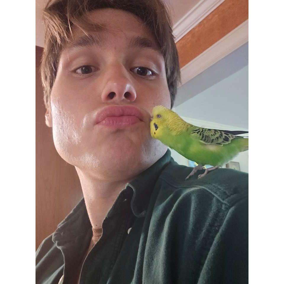 Owen with Helen's beloved family parakeet, Sue