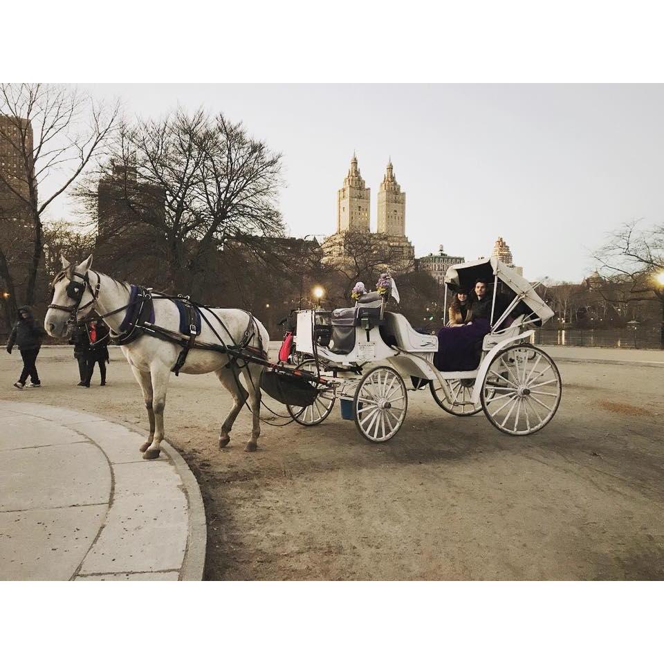 Central Park, Winter 2017