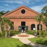 Georgia Sea Turtle Center