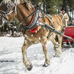 Borges Sleigh & Carriage Rides