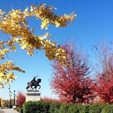 Forest Park