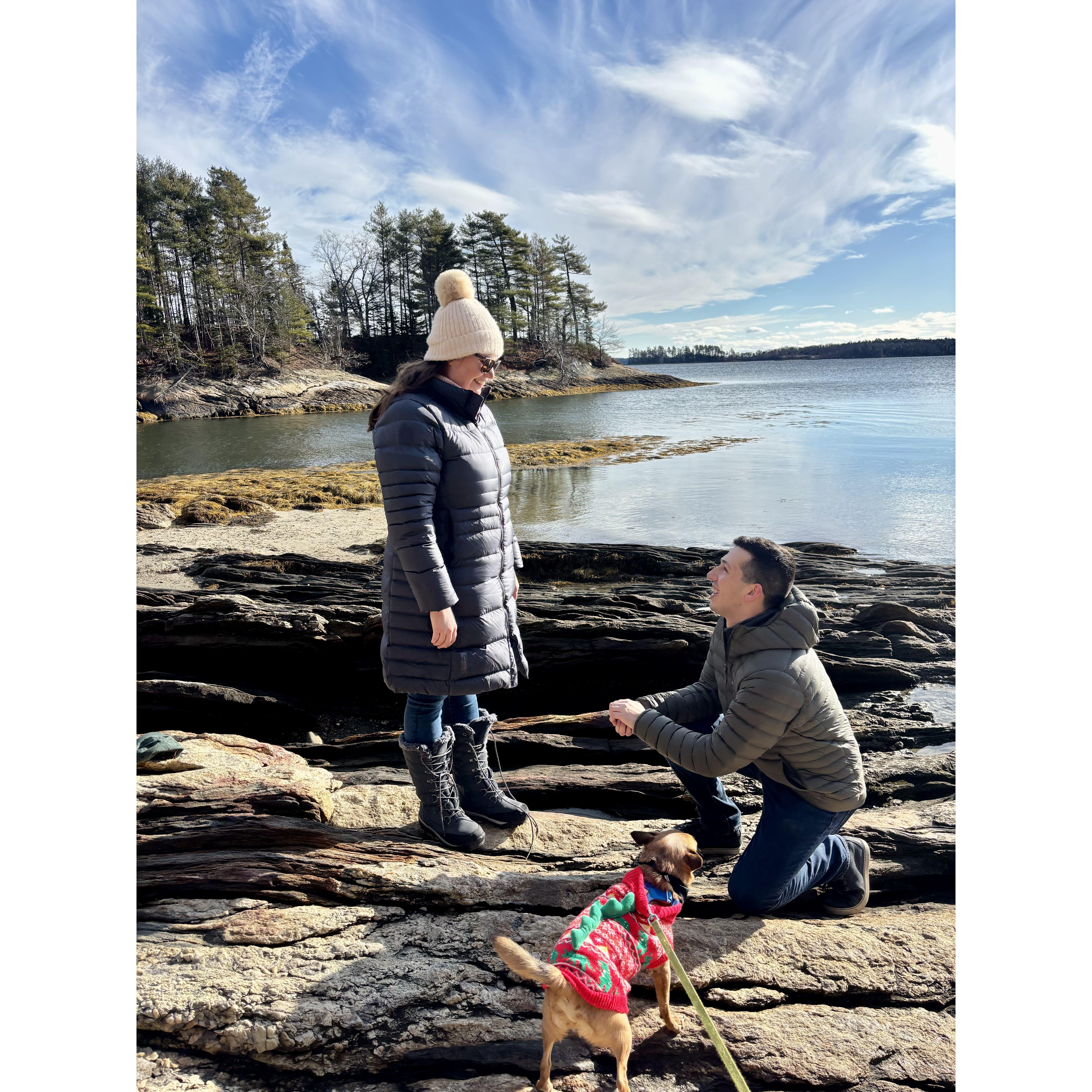 Jack proposing to Alison at Wolfe's Neck State Park in Freeport on a frigid but beautiful December day.