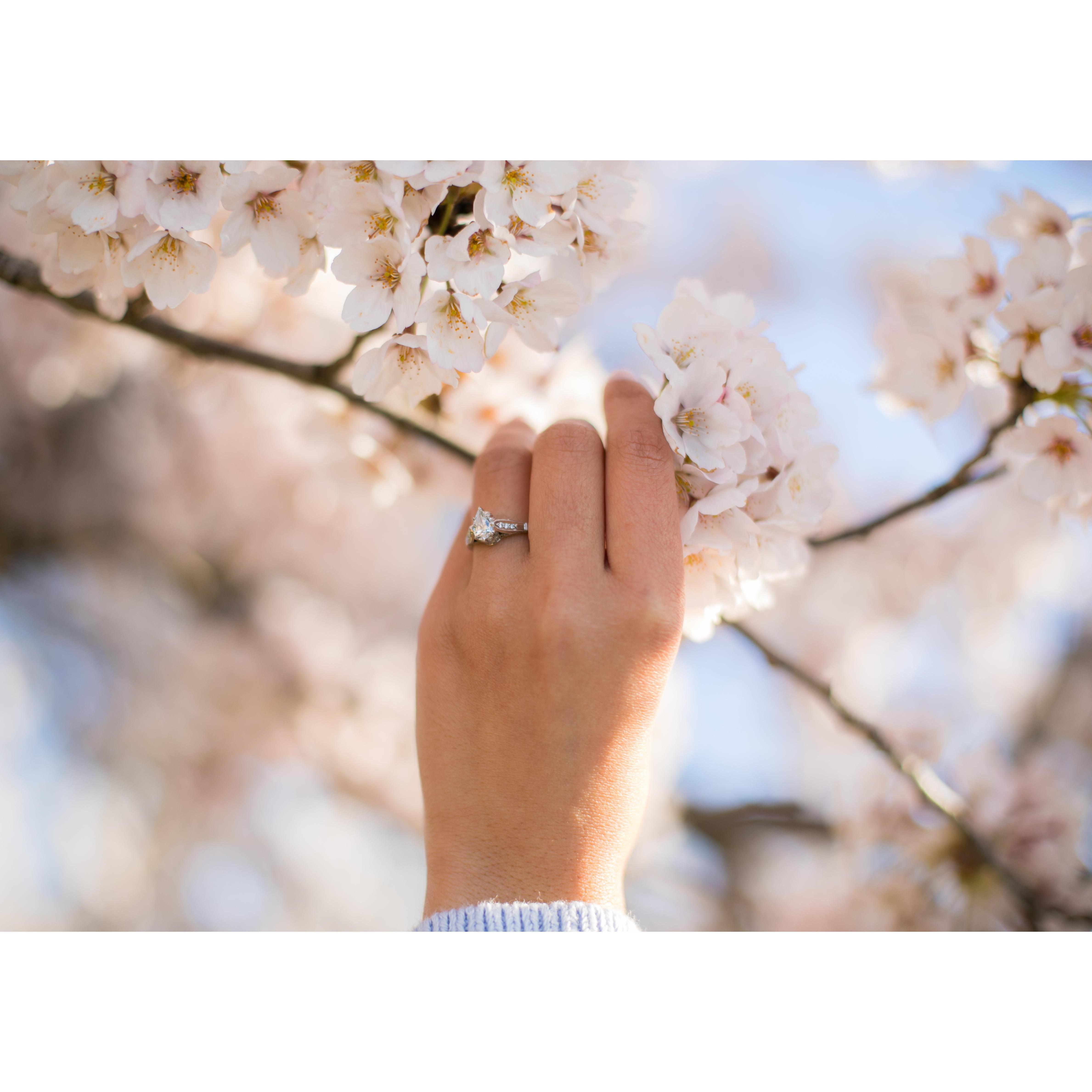 Redesigned heirloom diamond ring from Dan's grandmother - @ Tidal Basin