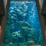 South Carolina Aquarium