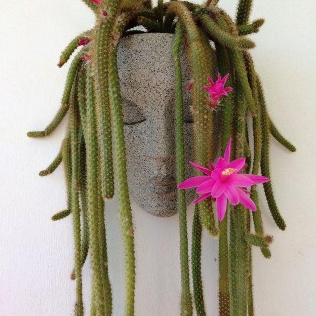 Wall Face Planter
