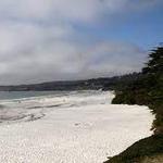 Carmel Beach