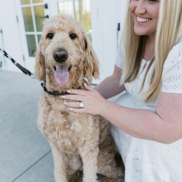 Backyard Fence Fund for Beau