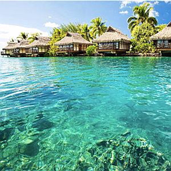 Dream Honeymoon
