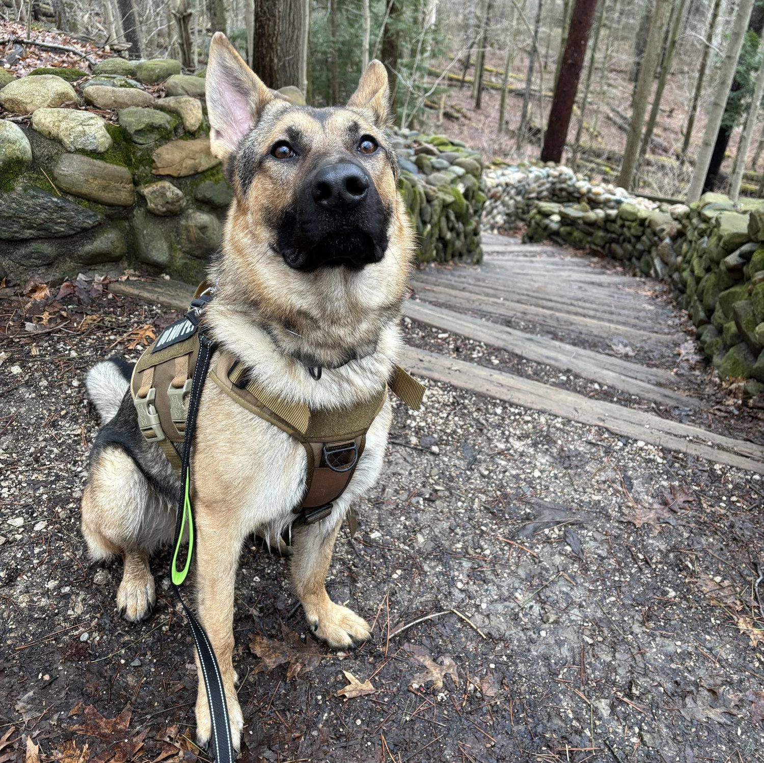Boris on his 10 mile hike!