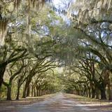 Wormsloe Historic Site