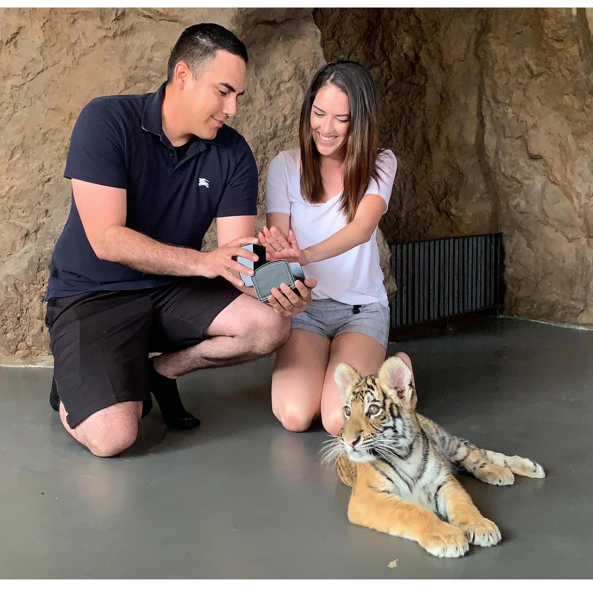 The proposal!