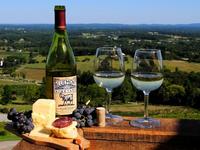 Bluemont Vineyard