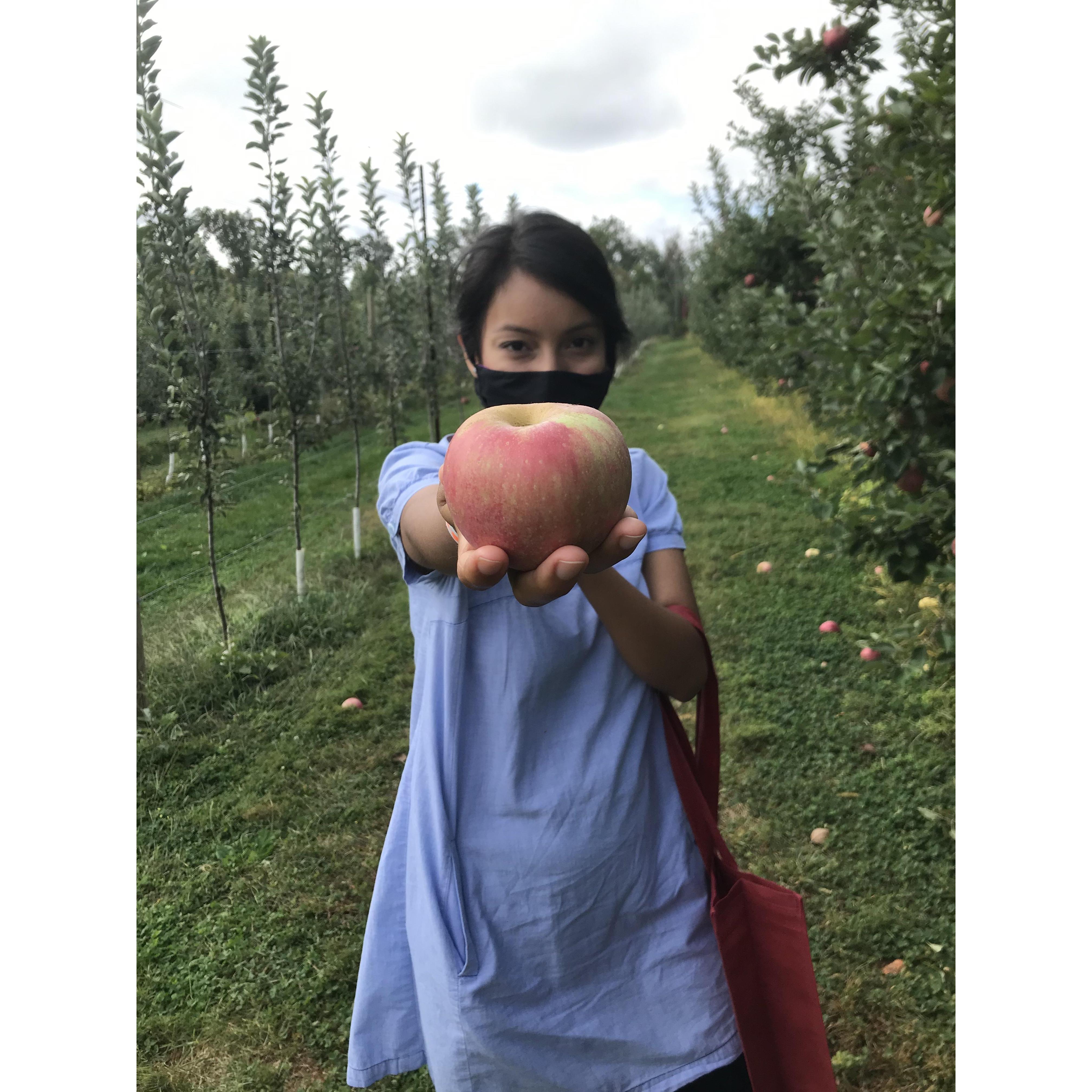 The first time Kathy went apple picking.