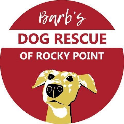 Barb’s Dog Rescue