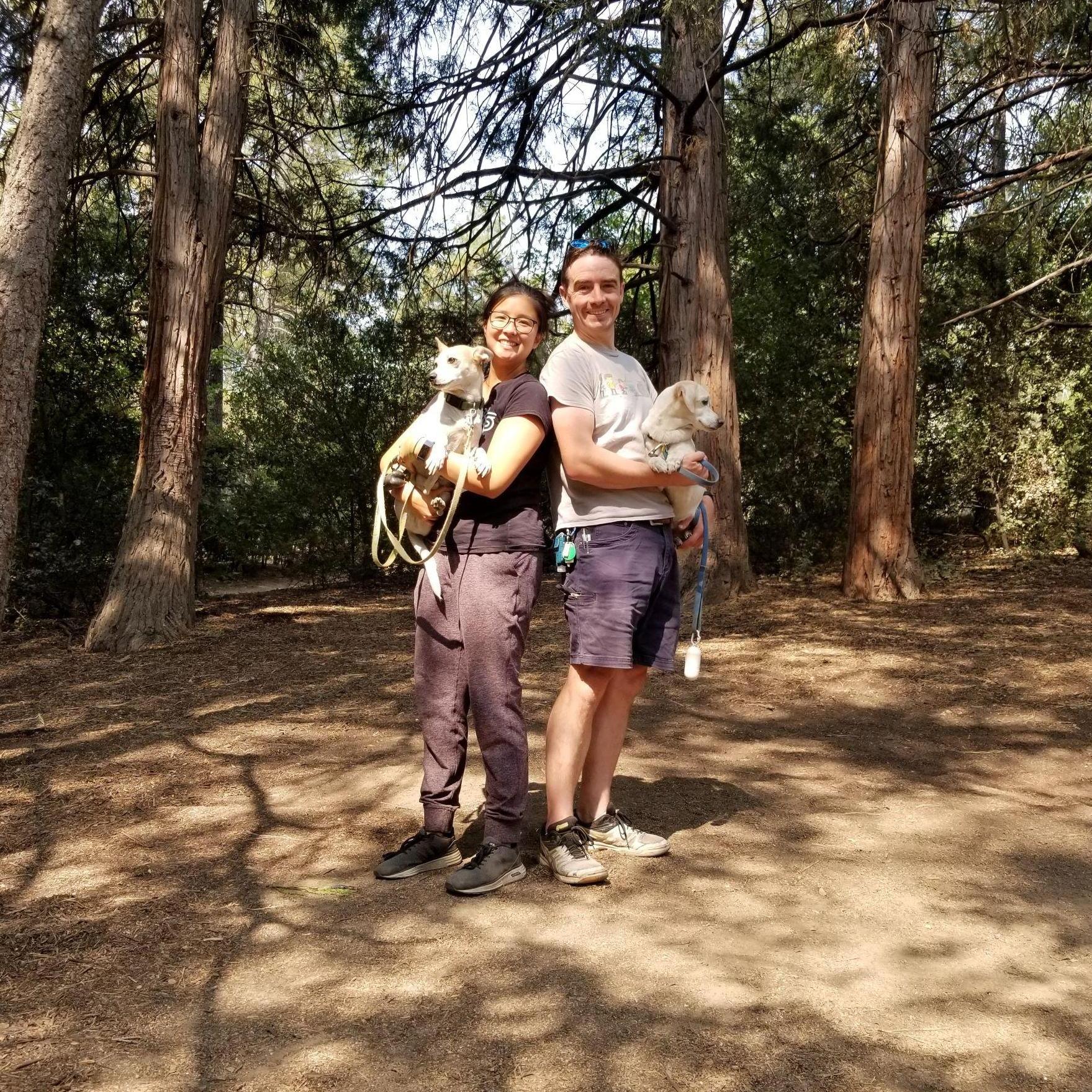 Camping in Idyllwild, CA.