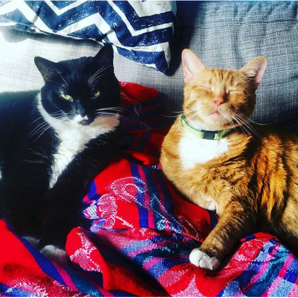 Jenny's favorite picture of Conan and Leno. Leno giving her signature look and Conan being happy as always