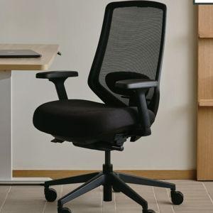 Ergonomic Chair Pro
