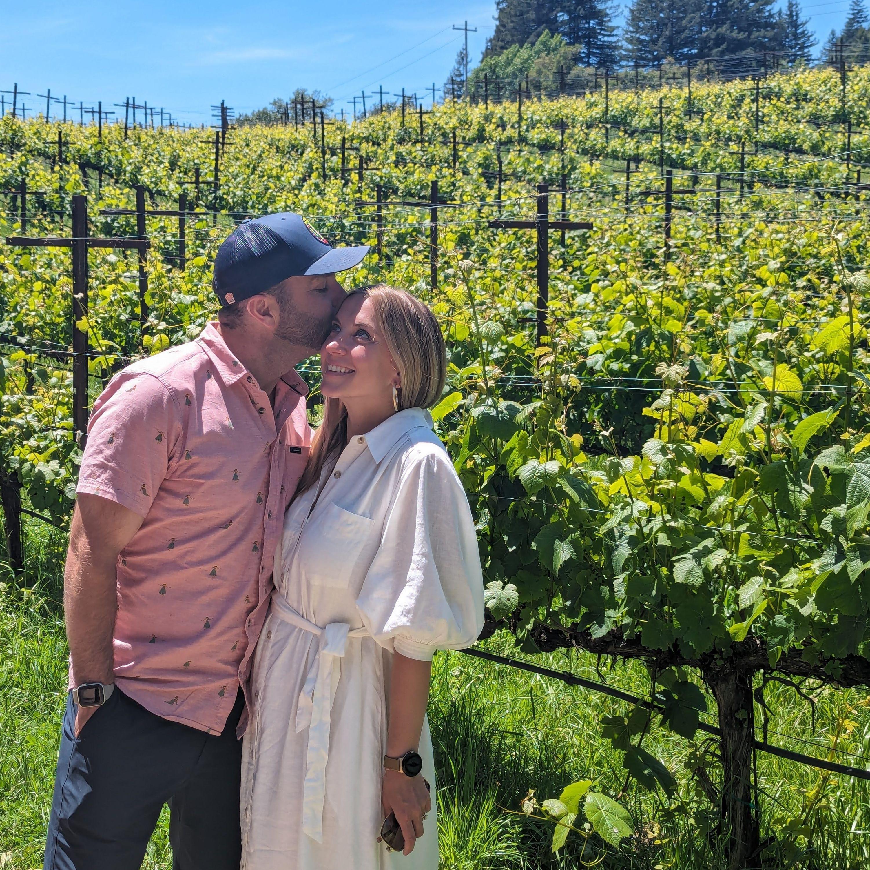 Santa Cruz mountains