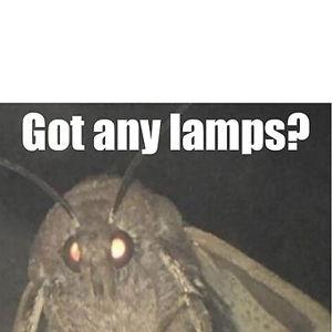Lamp fund
