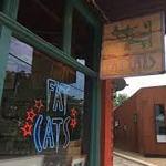 Fat Cats
