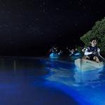 Bio Bay Kayak Tours