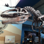 G. Maryland Science Center