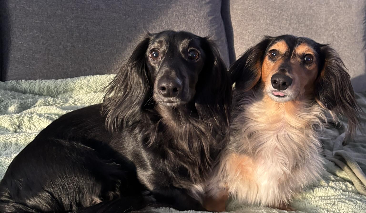 The Wedding Website of Elizabeth McNamara and Kolbe Maganzini