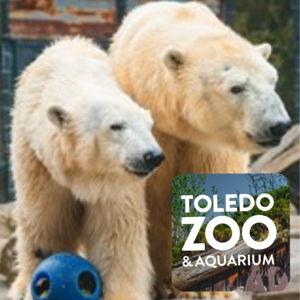 Toledo Zoo trip