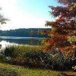 Tyler State Park