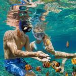 Snorkeling