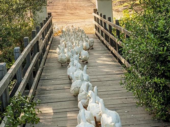 4c6752a4-ca64-45e8-ac1e-ac169ffc4db3