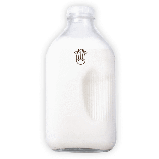 Almond Cow Glass Jug