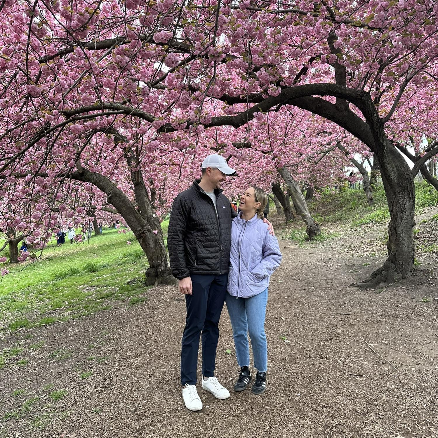 Cherry Blossoms in Central Park