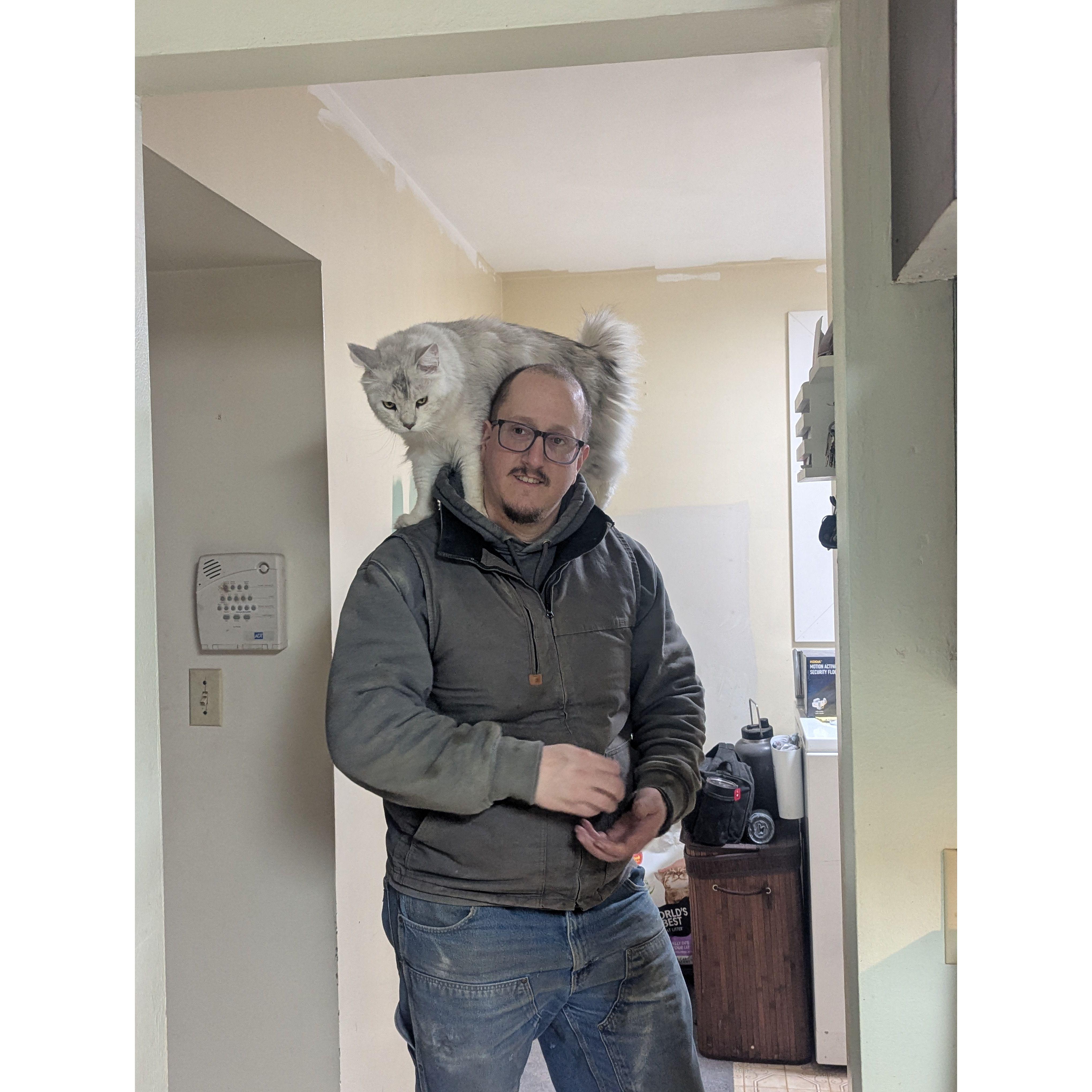 Mitchell has now become the primary human for Emma's cat Vinny