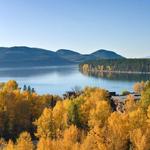 Some Recs To Start...See Below for More!