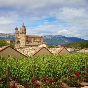 Honeymoon Spain: Wine Tasting in La Rioja