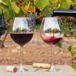 Wine Tasting