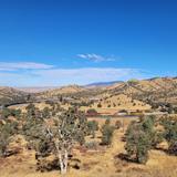Tehachapi Railroad Loop