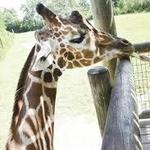Fort Wayne Children's Zoo