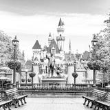 Disneyland Park