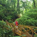 Antigua Mountain Trail