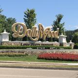 Dollywood